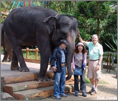 Kenji, Yaeko, Bob & Big Friend